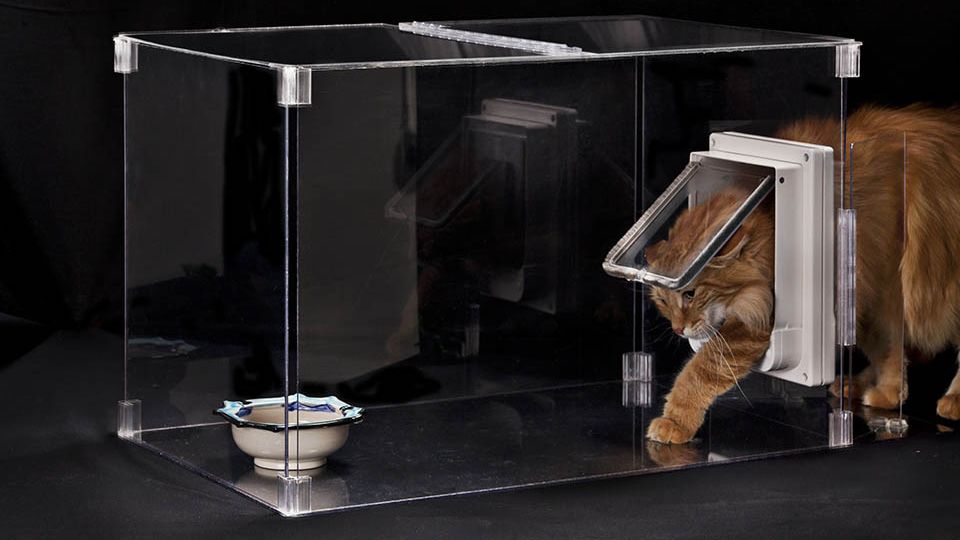 meowspace microchip pet station